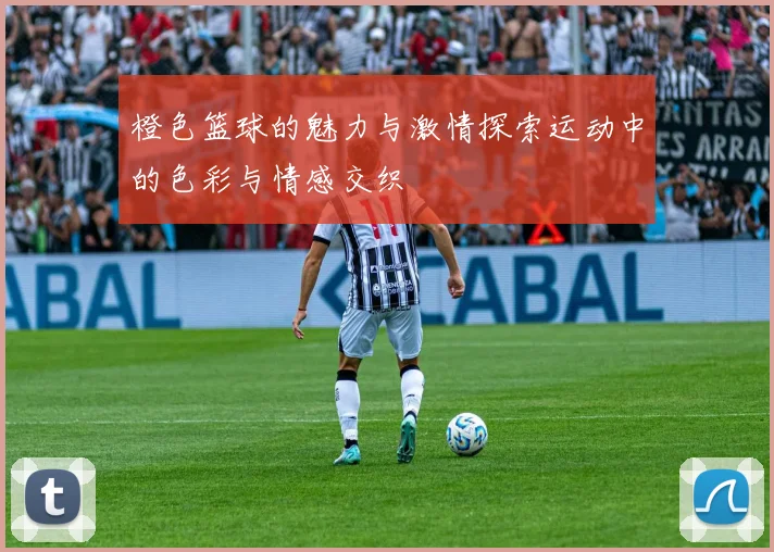 橙色篮球的魅力与激情探索运动中的色彩与情感交织