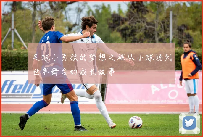 足球小男孩的梦想之旅从小球场到世界舞台的成长故事