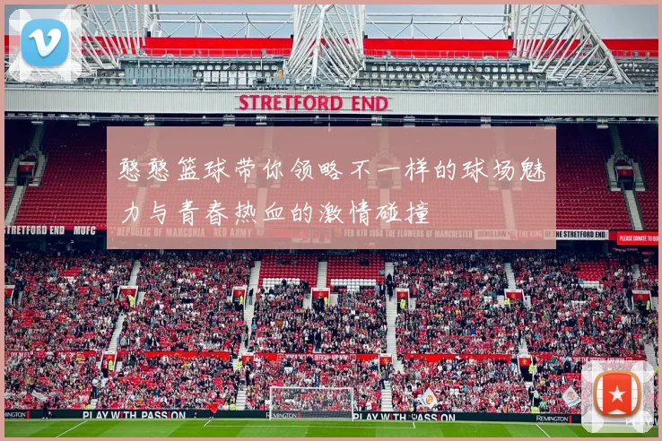 憨憨篮球带你领略不一样的球场魅力与青春热血的激情碰撞