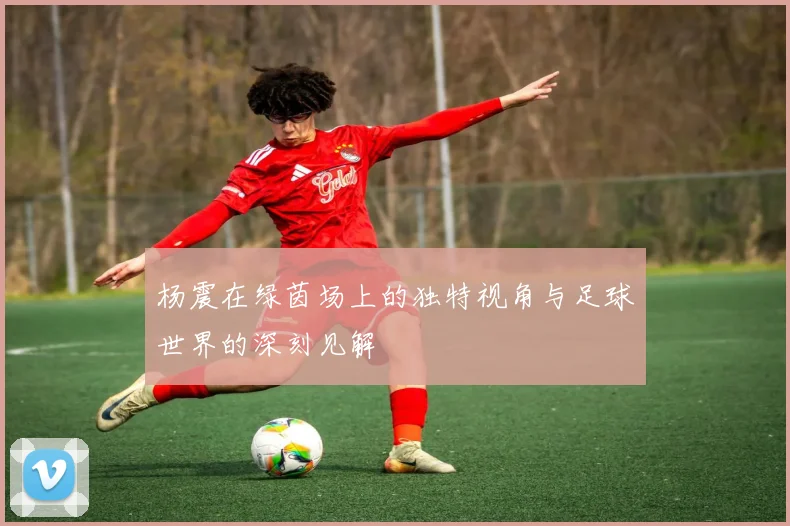 杨震在绿茵场上的独特视角与足球世界的深刻见解