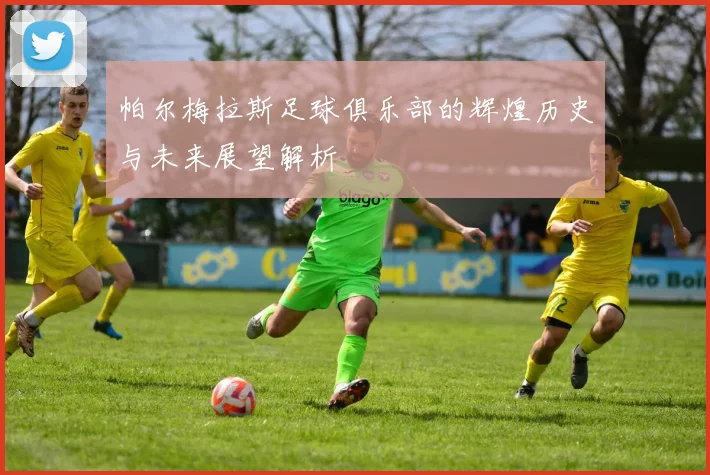 帕尔梅拉斯足球俱乐部的辉煌历史与未来展望解析