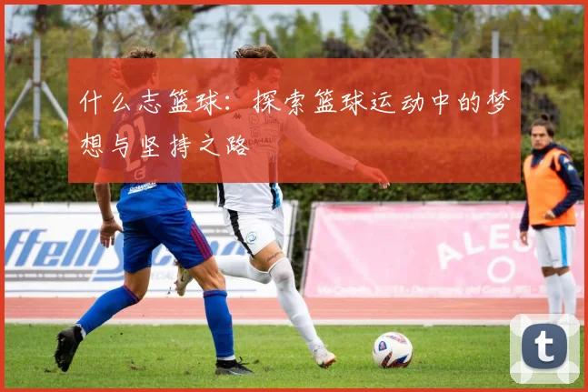 什么志篮球：探索篮球运动中的梦想与坚持之路
