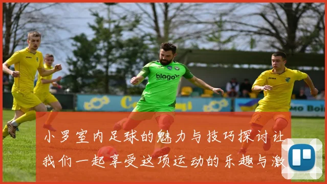 小罗室内足球的魅力与技巧探讨让我们一起享受这项运动的乐趣与激情