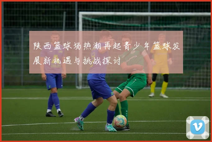 陕西篮球场热潮再起青少年篮球发展新机遇与挑战探讨