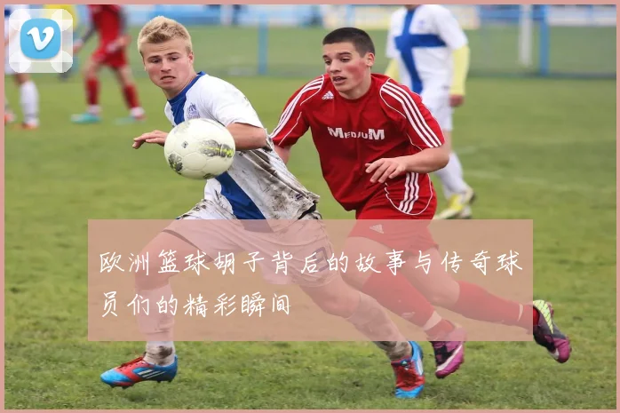 欧洲篮球胡子背后的故事与传奇球员们的精彩瞬间