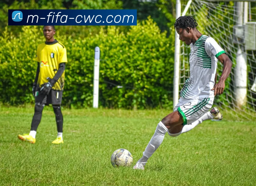 世界杯官网发展历程